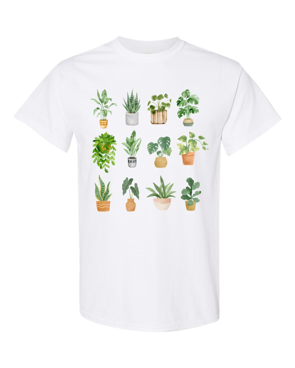 Watercolor house plants